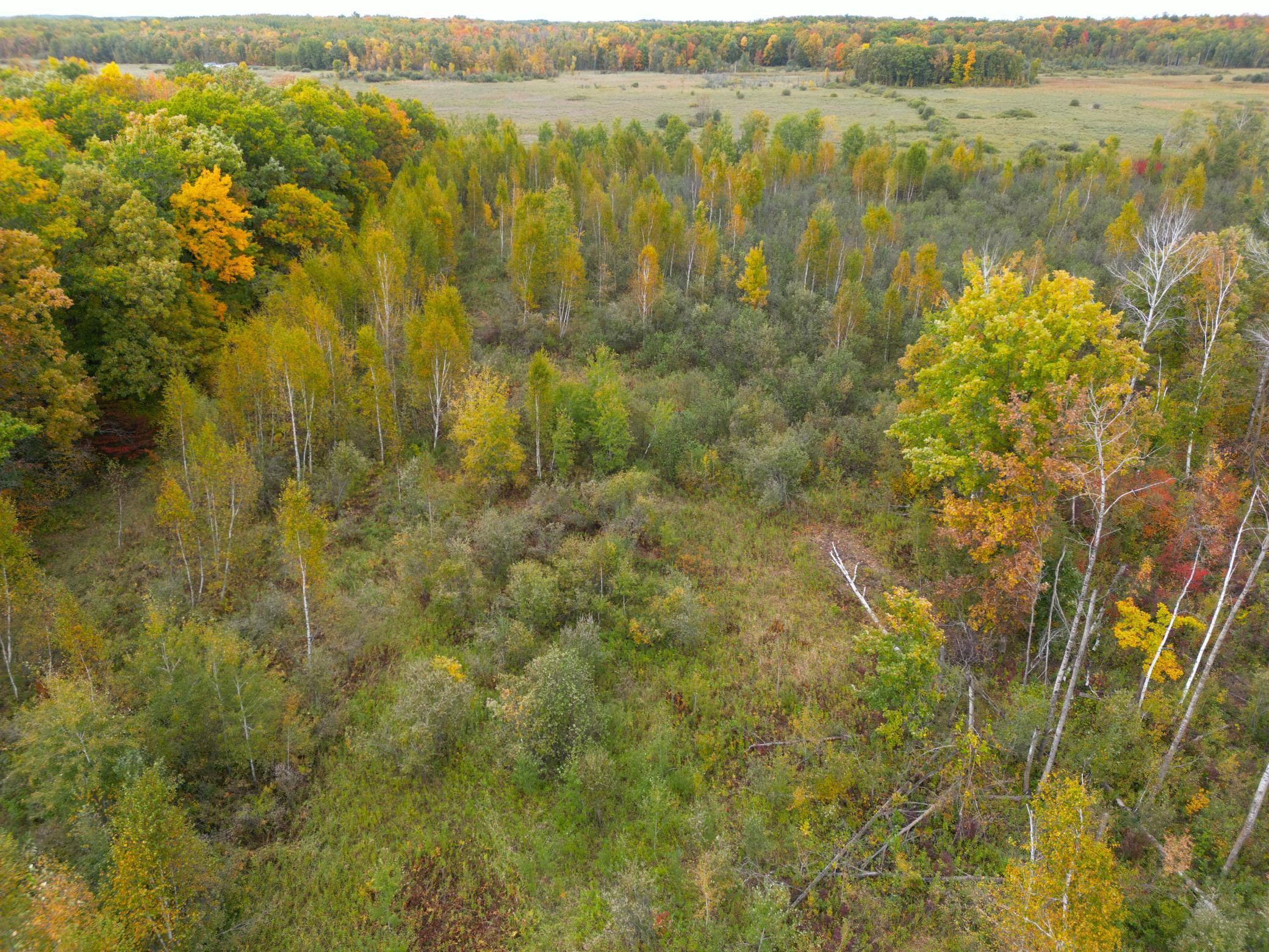DJI_0346.JPG