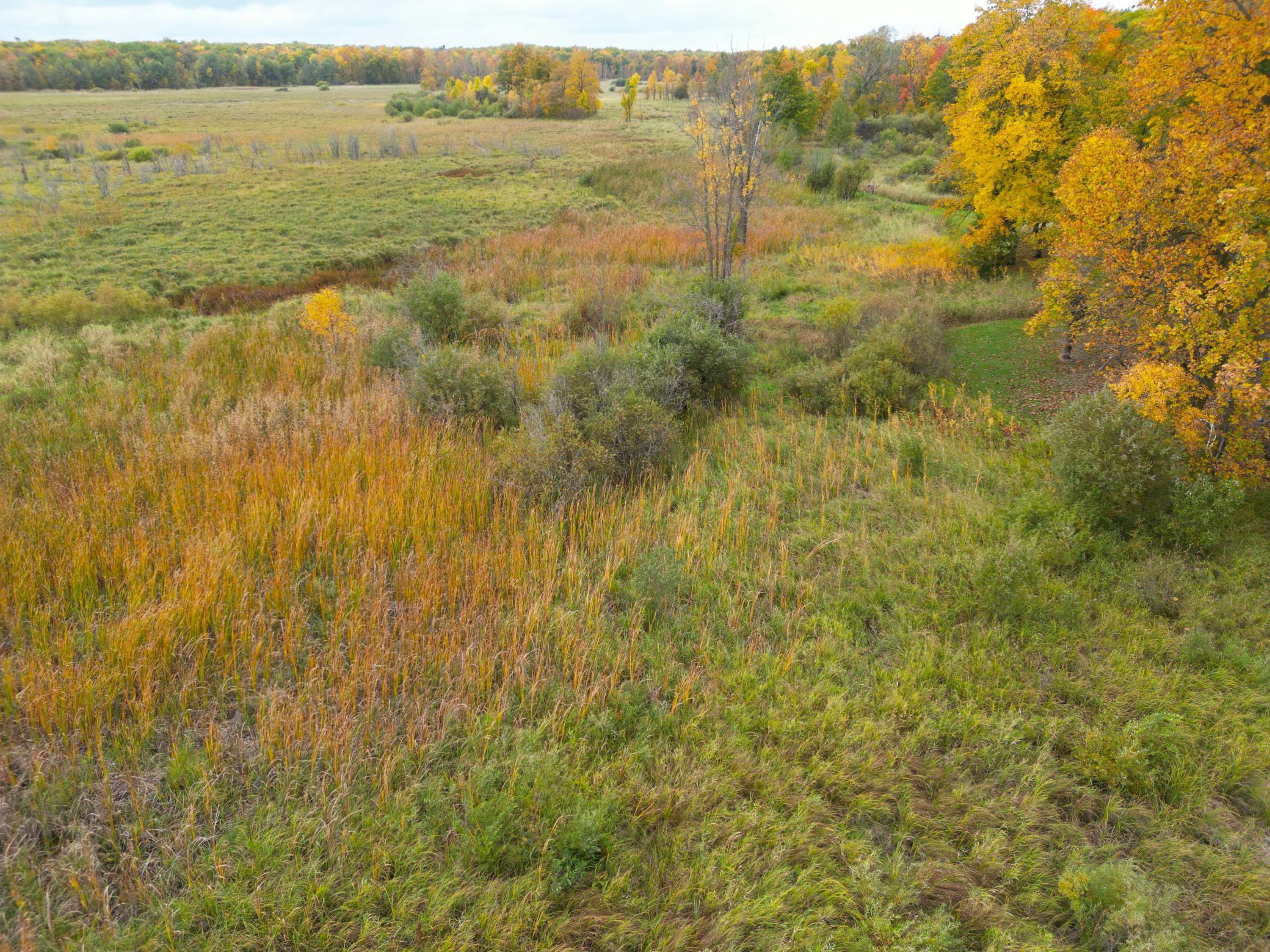 DJI_0350.JPG