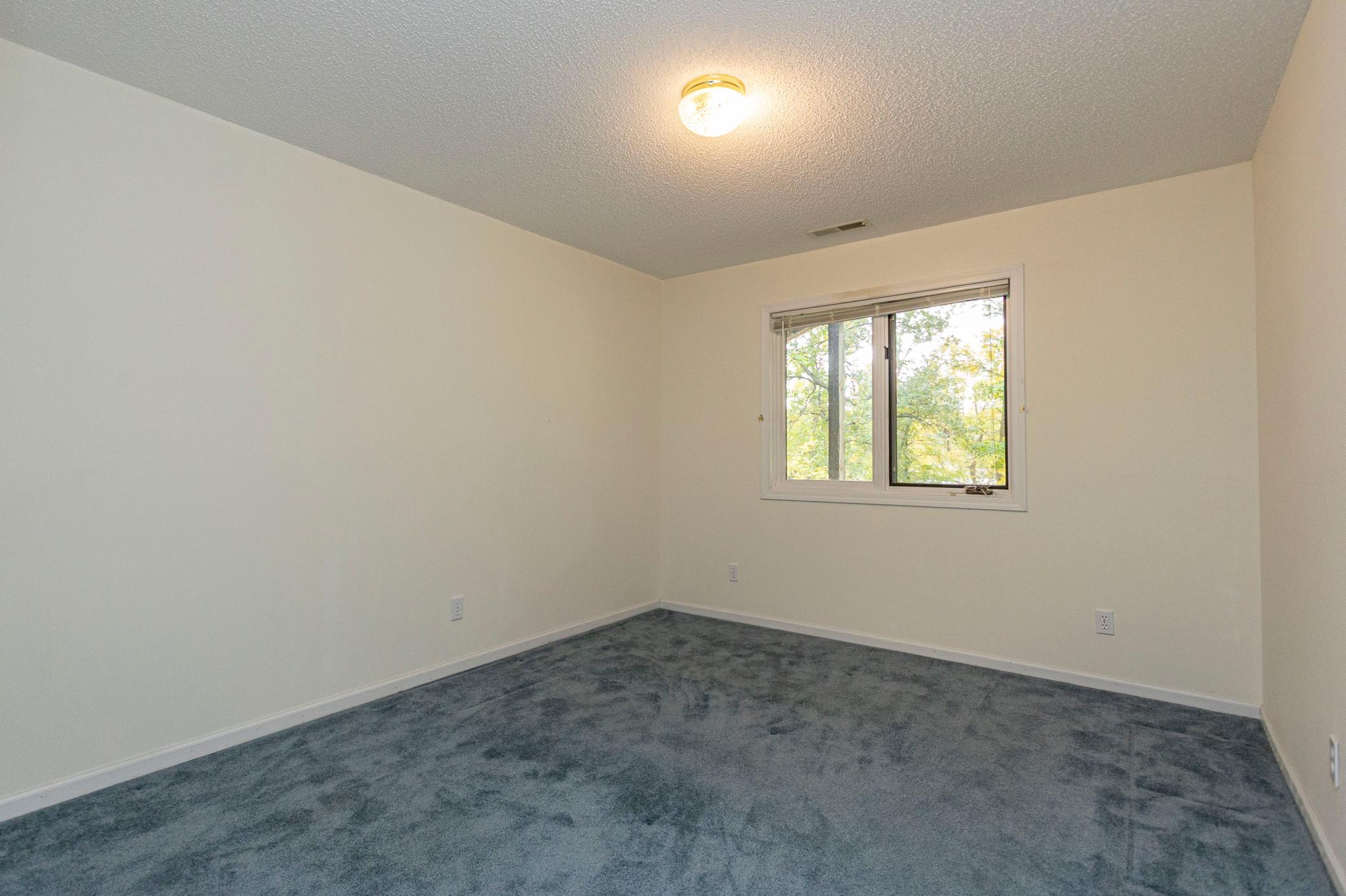 Lower Level Third Bedroom