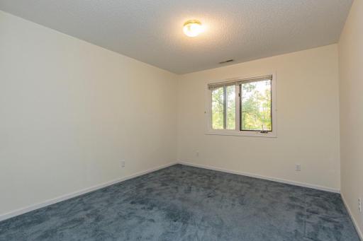 Lower Level Third Bedroom