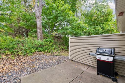 18185 Warbler Lane, Eden Prairie, MN 55346