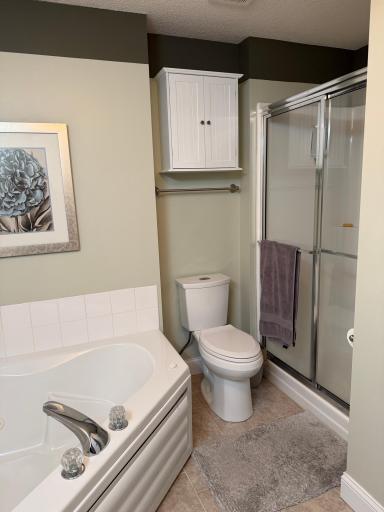 18185 Warbler Lane, Eden Prairie, MN 55346