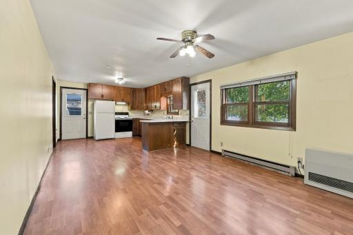 25547 Nordic Point Drive, Glenwood, MN 56334