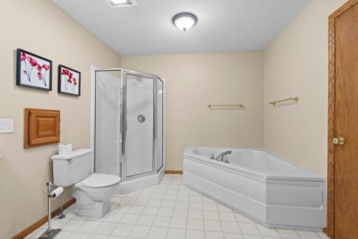 16090 Morgan Avenue N, Marine On Saint Croix, MN 55047