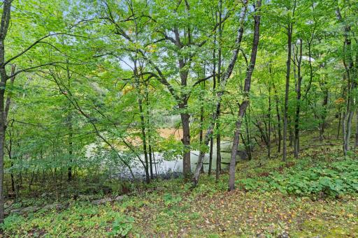 16090 Morgan Avenue N, Marine On Saint Croix, MN 55047