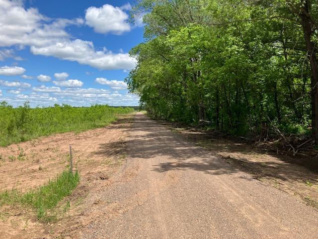 Driveway leading to lot - 22.3 +/- Acres.