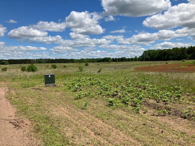 Parcel C Lot - 22.3± acres