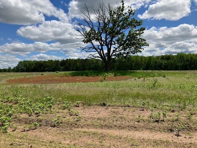 Parcel C Lot - 22.3± acres