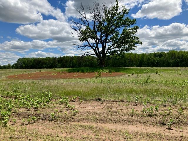 Parcel C Lot - 22.3± acres