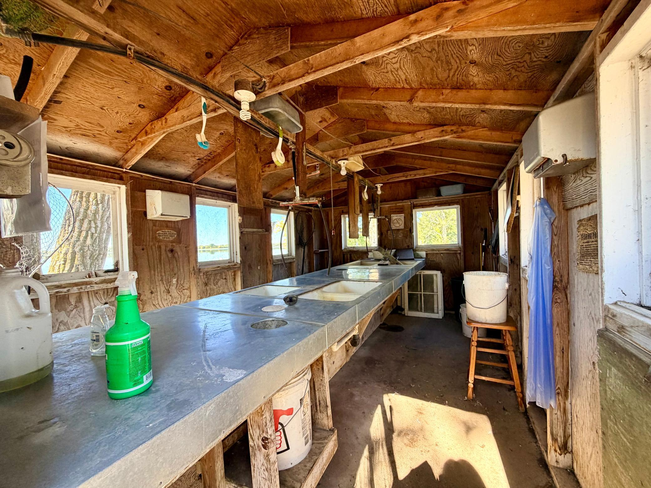Fish Cleaning