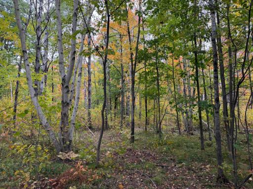 51315 Sand Creek Rd, Bruno, MN 55712