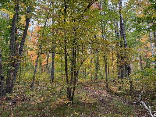 51315 Sand Creek Rd, Bruno, MN 55712