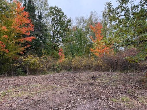 51315 Sand Creek Rd, Bruno, MN 55712