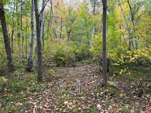 51315 Sand Creek Rd, Bruno, MN 55712