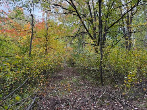 51315 Sand Creek Rd, Bruno, MN 55712