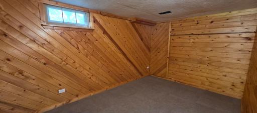 Bonus room, lower level