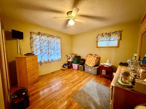 37742 N Eagle Lake Road, Battle Lake, MN 56515