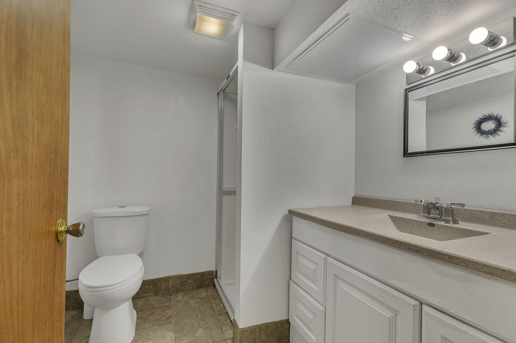 Lower level 3/4 bath