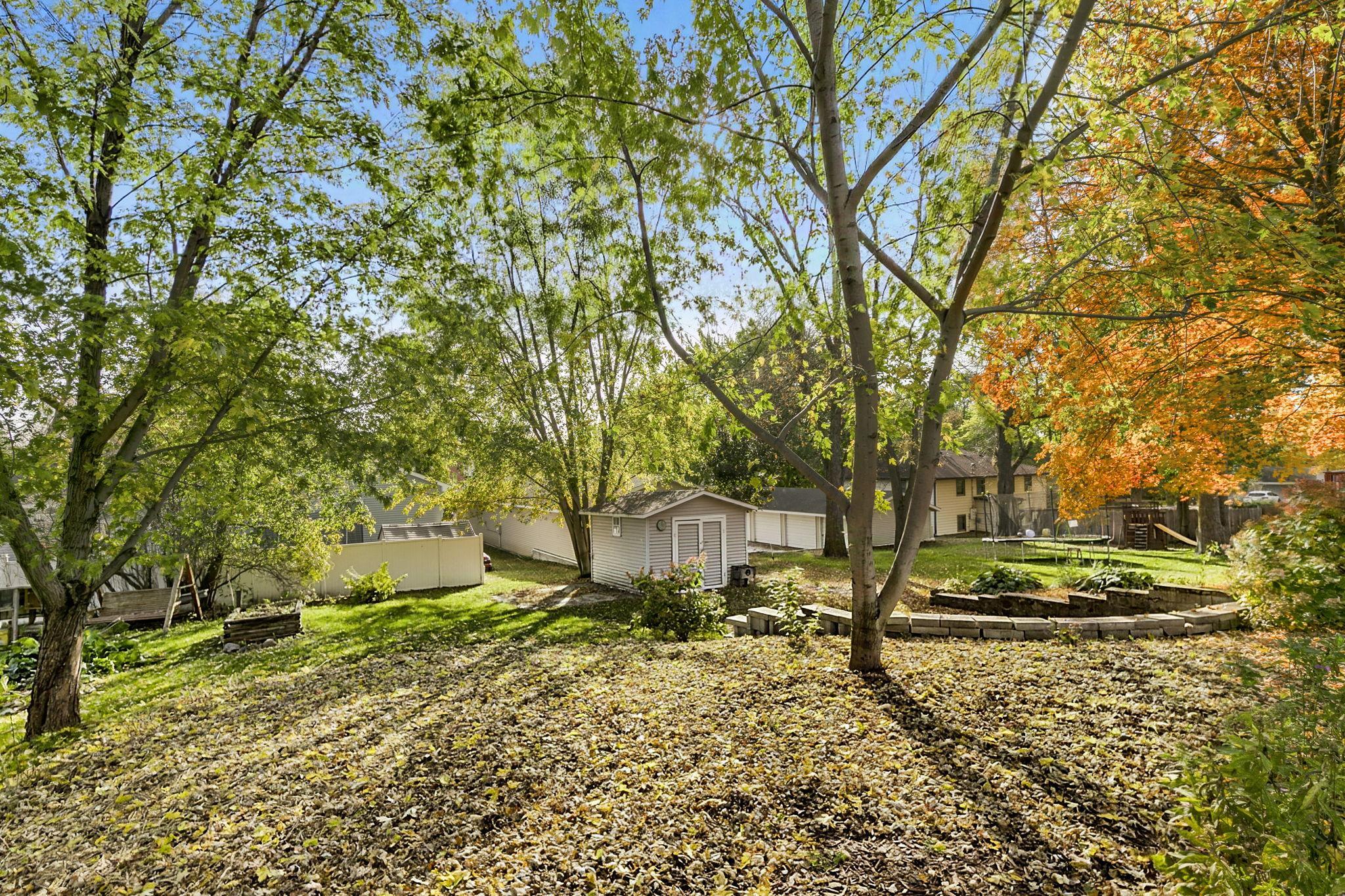 Massive back yard