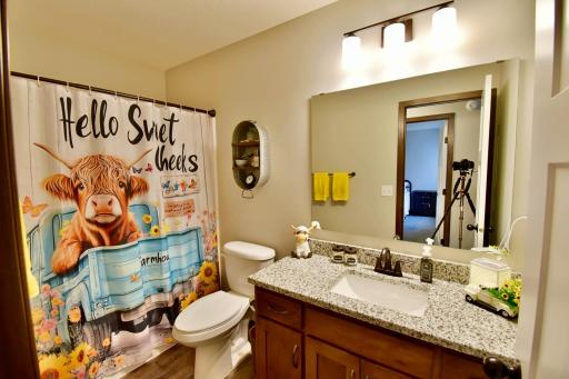 23711 Marigold Street NW, Saint Francis, MN 55070