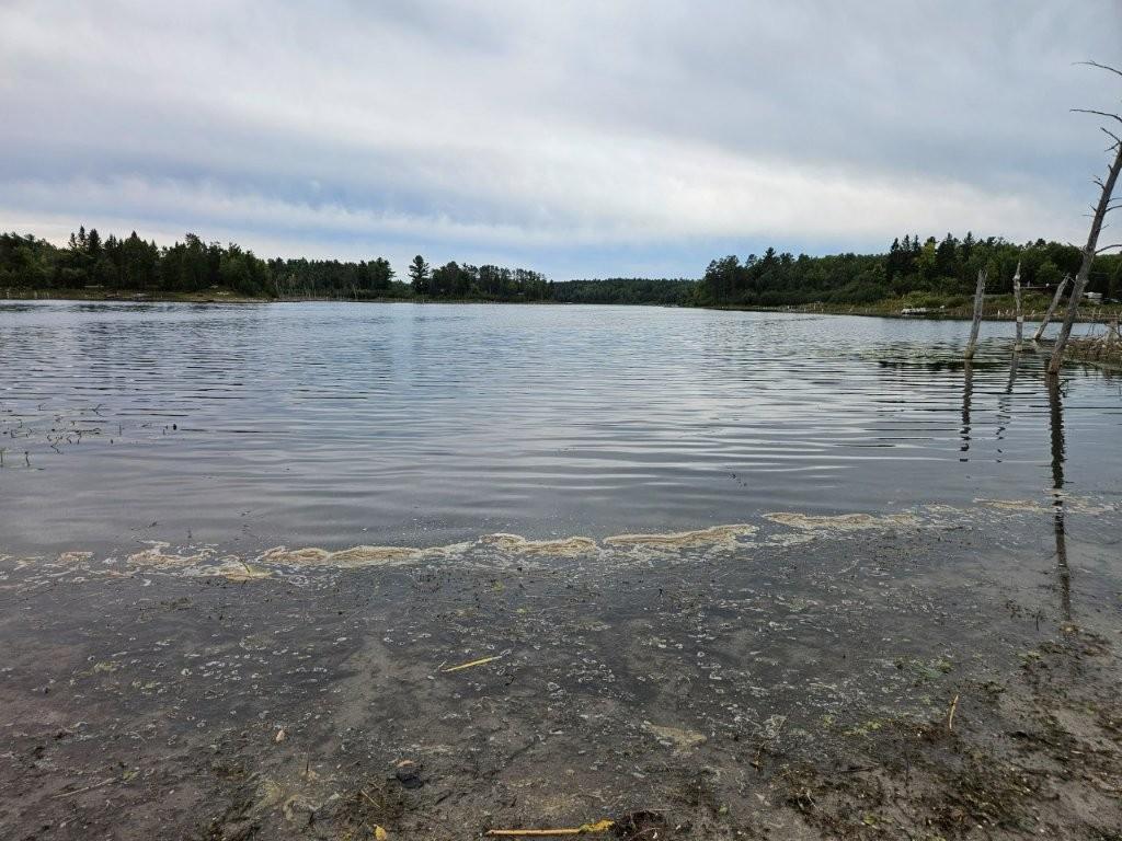 20260916_152914.jpg
