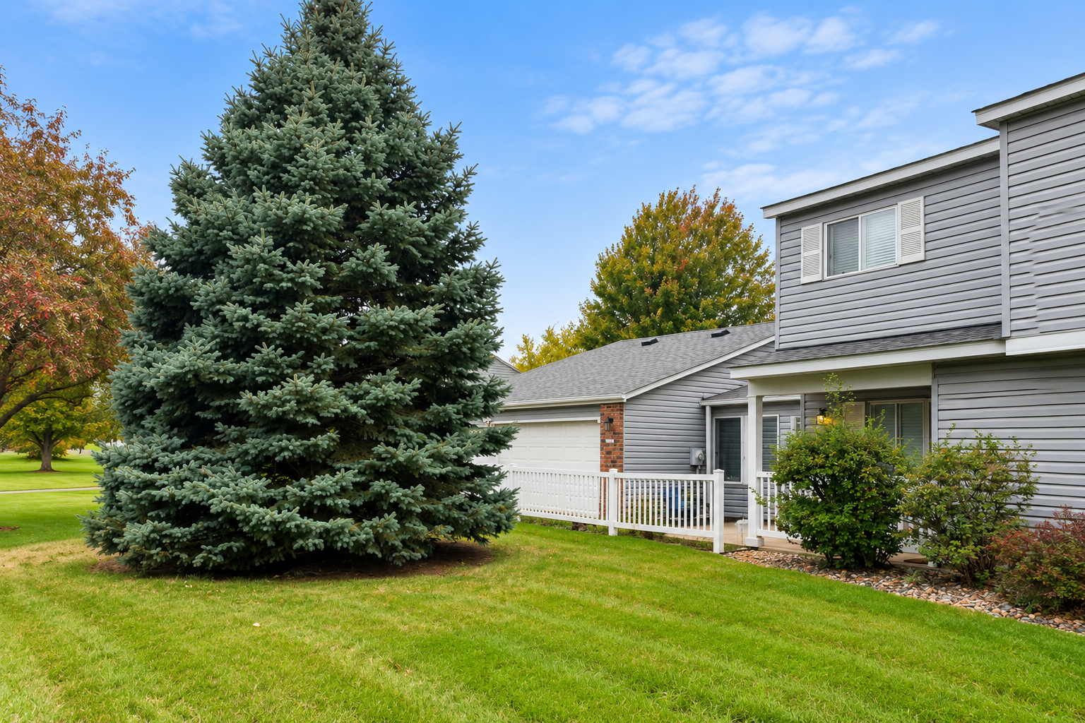 Side view of the house from to check out the privacy this mature tree gives.