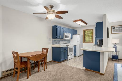 925 Bahls Drive, 307, Hastings, MN 55033