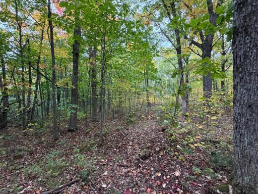51449 Sand Creek Rd, Bruno, MN 55712