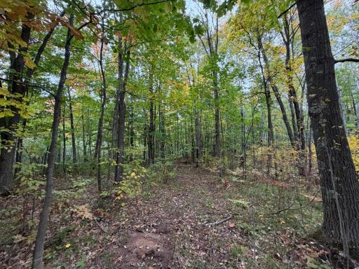 51449 Sand Creek Rd, Bruno, MN 55712