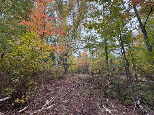51449 Sand Creek Rd, Bruno, MN 55712
