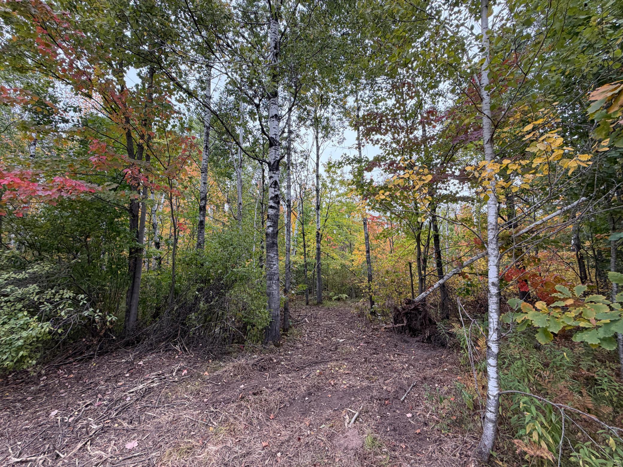 Property photo for 51449 Sand Creek Rd, Bruno, MN 55712