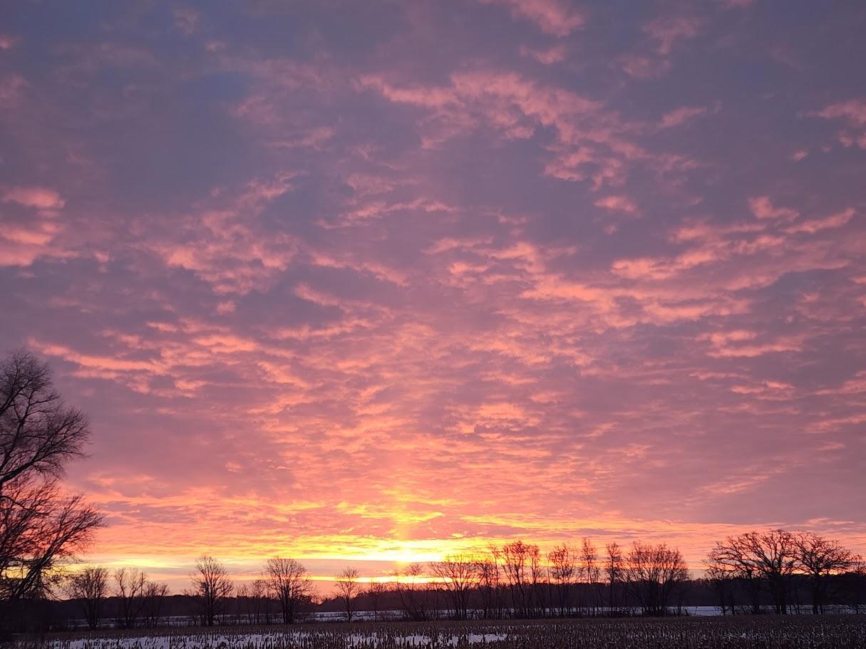 SUNRISE 4.jpg