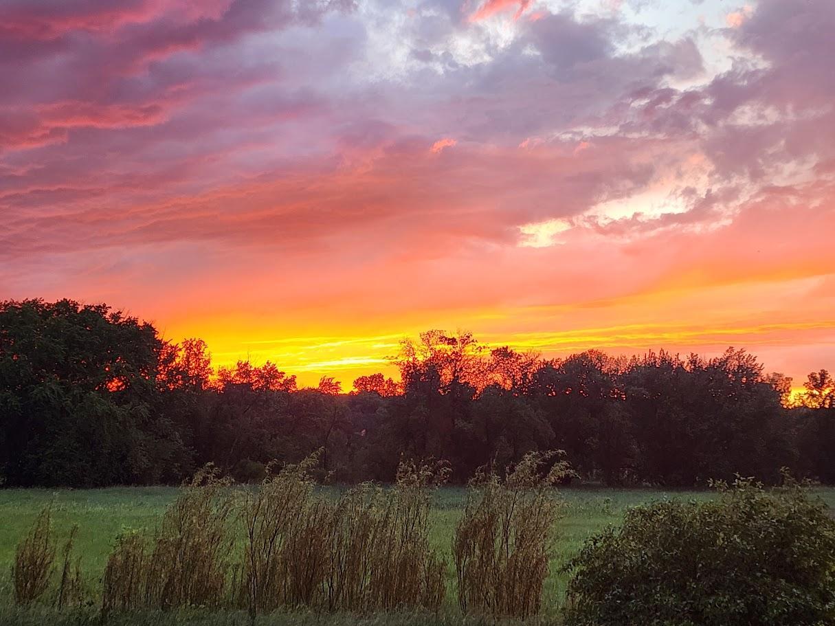 SUNSET 1.jpg