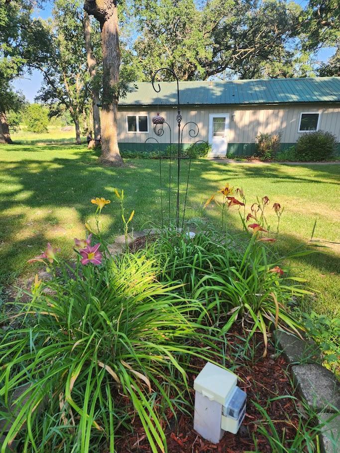LILIES IN CENTER GARDEN.jpg