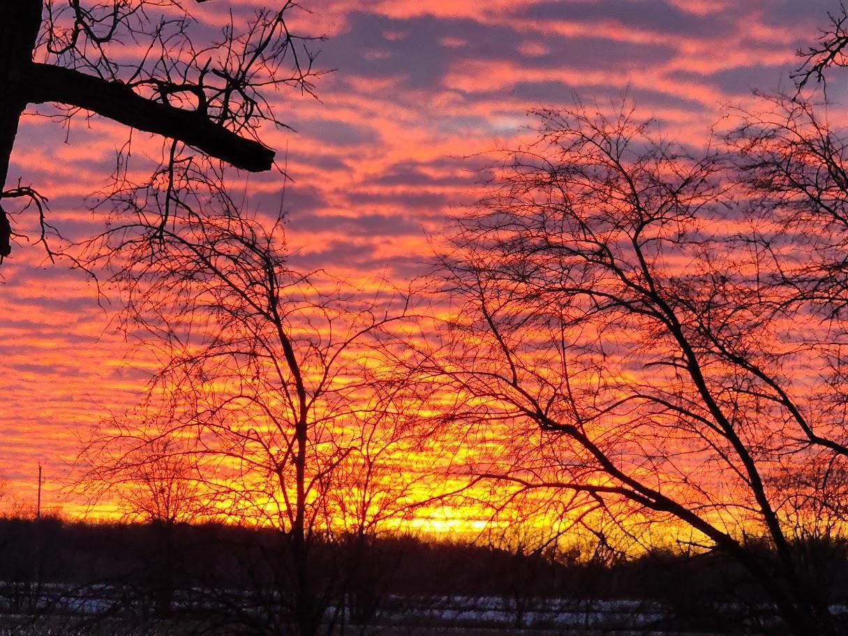 SUNRISE 3.jpg
