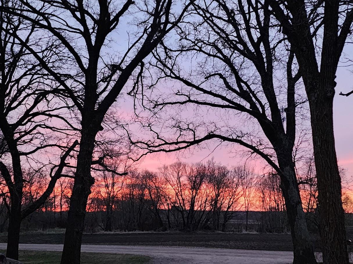 SUNRISE 1.jpg