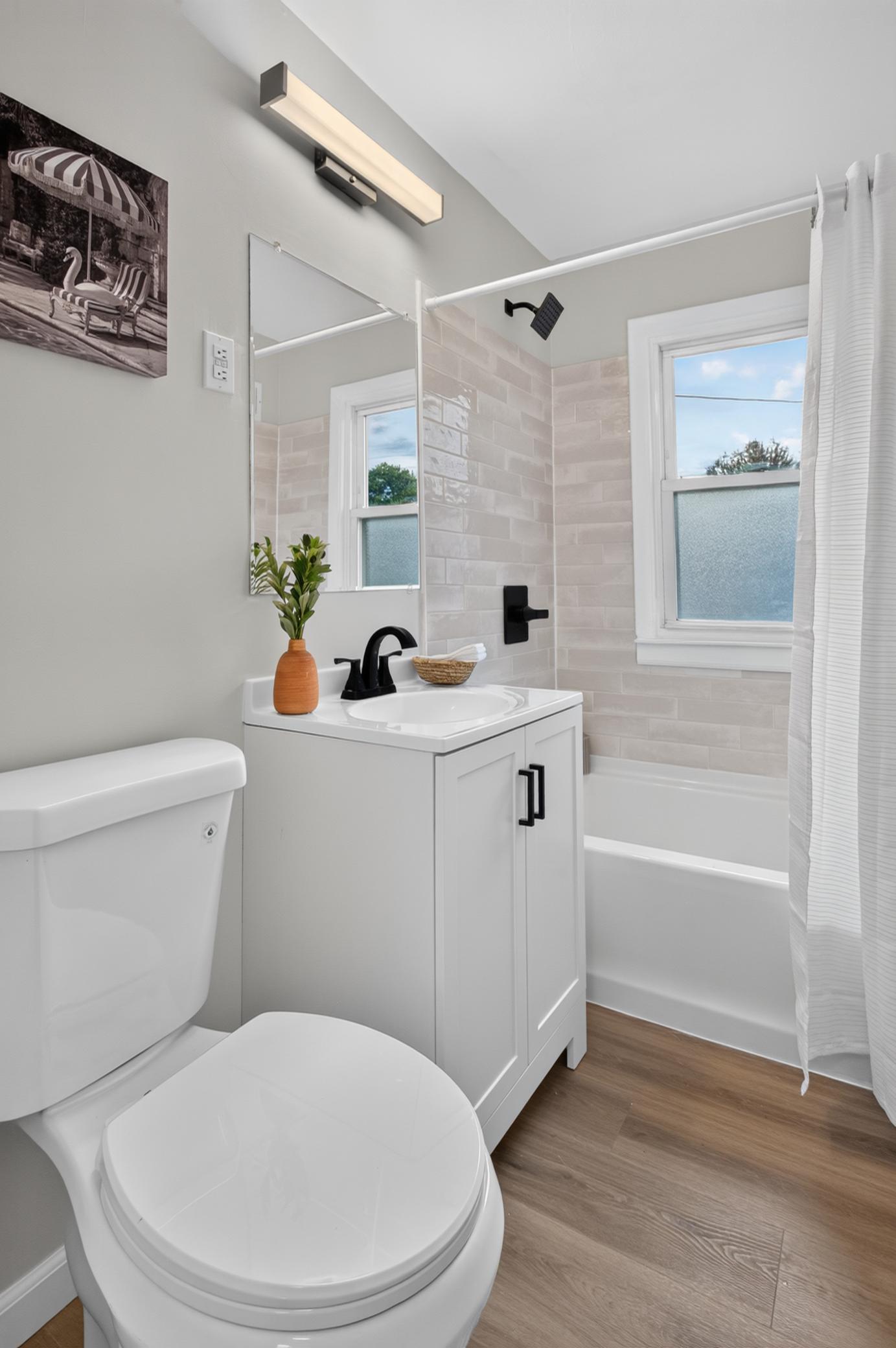New vanity, tub surround and toilet