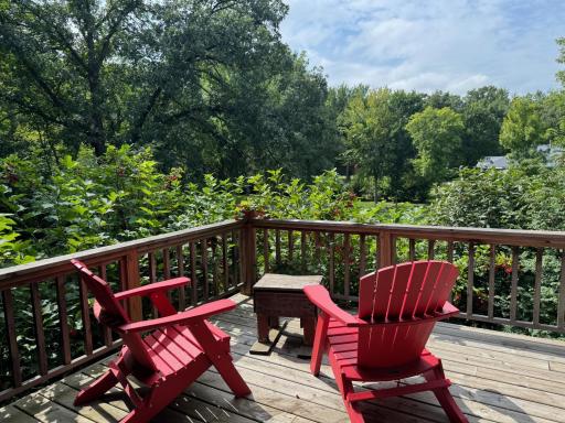 507 E Front Street, Battle Lake, MN 56515