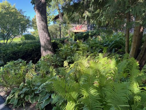 507 E Front Street, Battle Lake, MN 56515