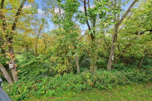 19817 Dogwood Road, Lake Crystal, MN 56055