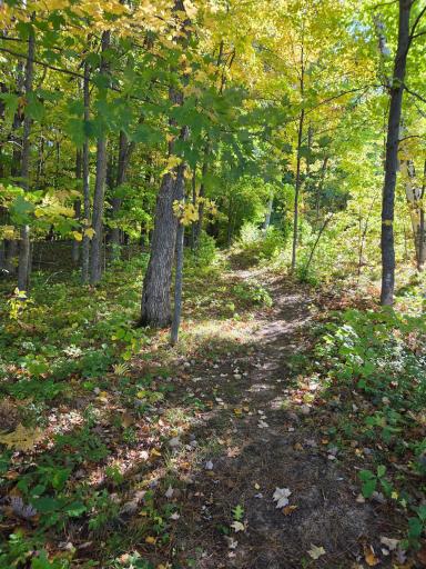 351 25 1/4 Avenue, Cumberland, WI 54829