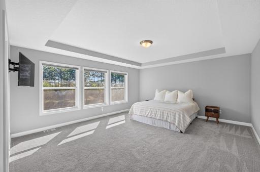15165 Marmoset Street NW, Ramsey, MN 55303