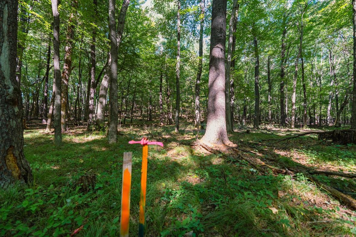 Property photo for Lot3 815th Avenue, Menomonie, WI 54751