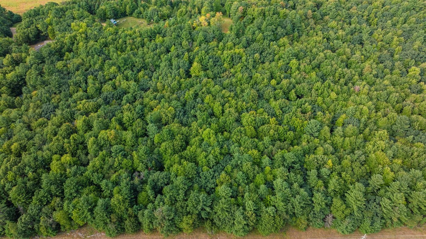 DJI_0626.jpg