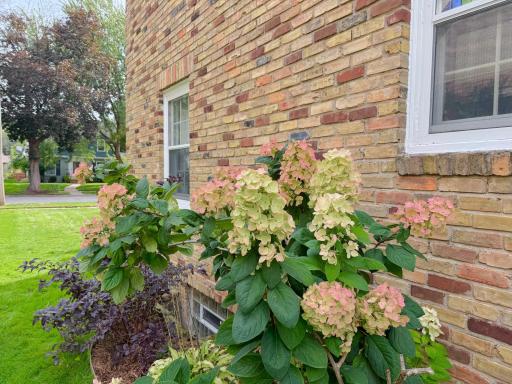 5632 10th Avenue S, Minneapolis, MN 55417