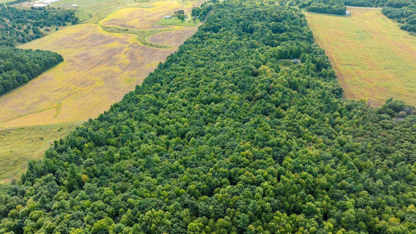 DJI_0632.jpg