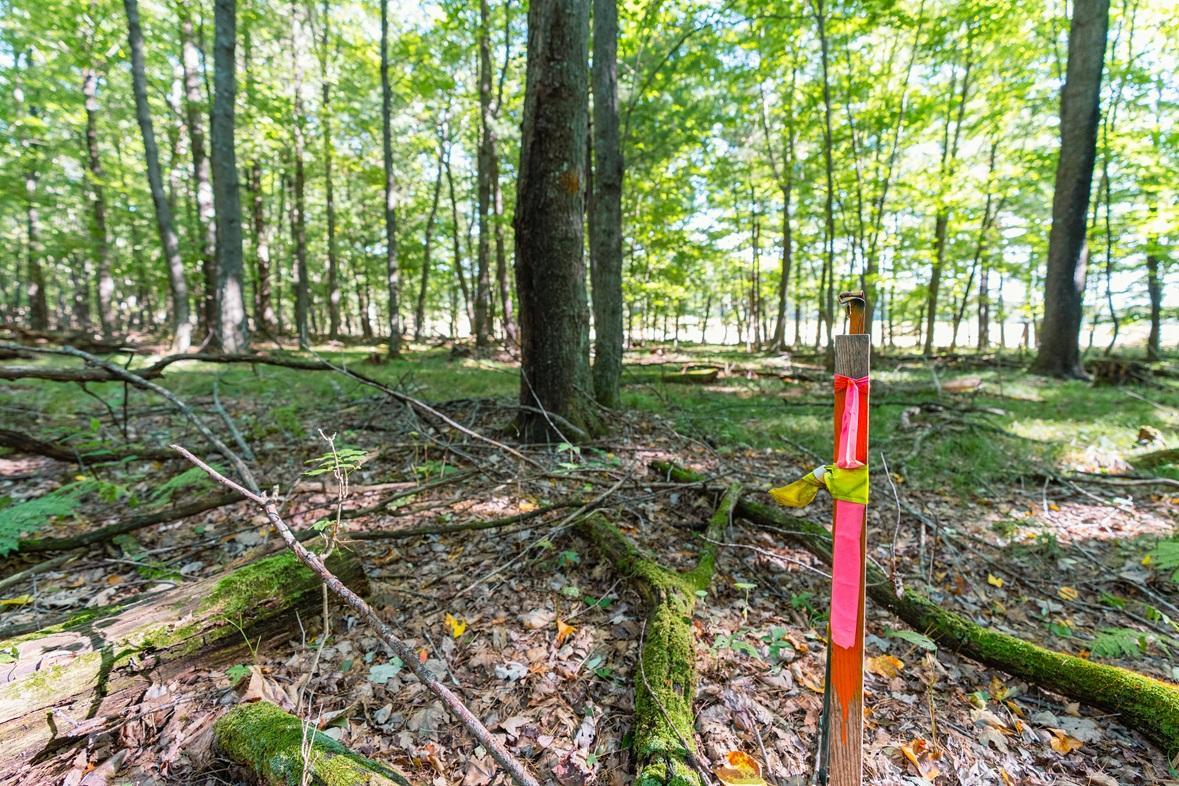 Property photo for Lot5 815 Avenue, Menomonie, WI 54751
