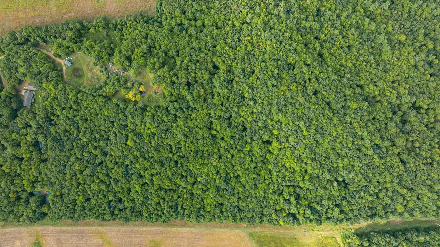 DJI_0636.jpg