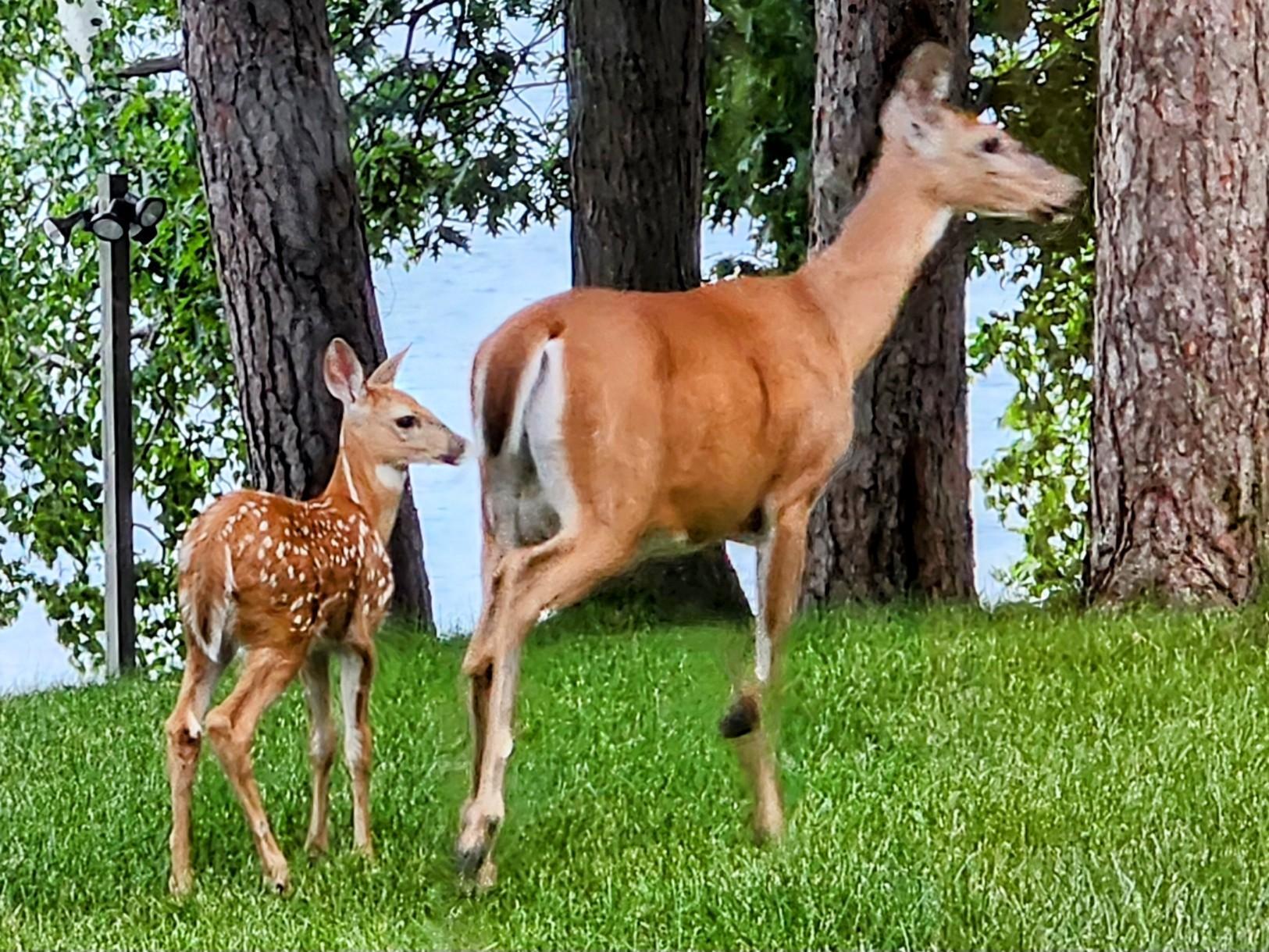 Nature right on your backyard