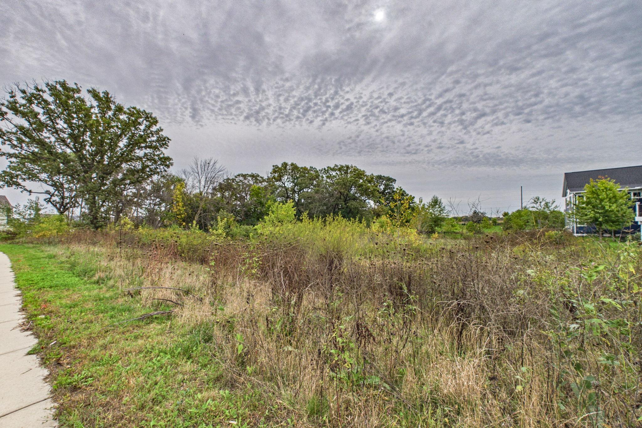 50-web-or-mls-50-6344 Red Cedar Dr EOD.jpg